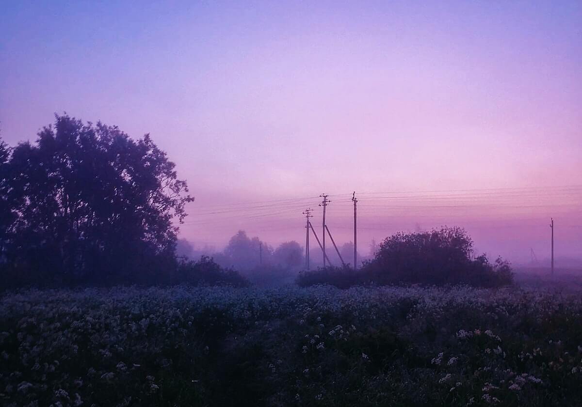 安切洛蒂：弗爵曾找我接手曼联 可惜我答应了皇马